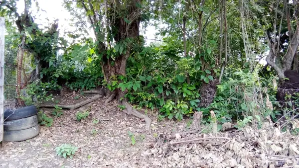 Terreno en venta en La Ilusión, Poza Rica de Hidalgo — foto 3 de 18