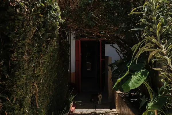 Casa en venta en Guadalupe, San Cristóbal de las Casas — foto 3 de 16