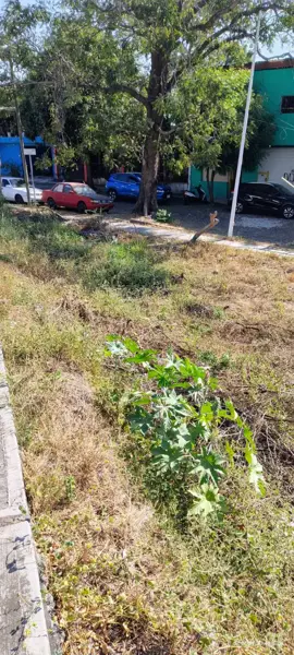 Terreno en venta en La Frontera, Villa de Álvarez — foto 2 de 7