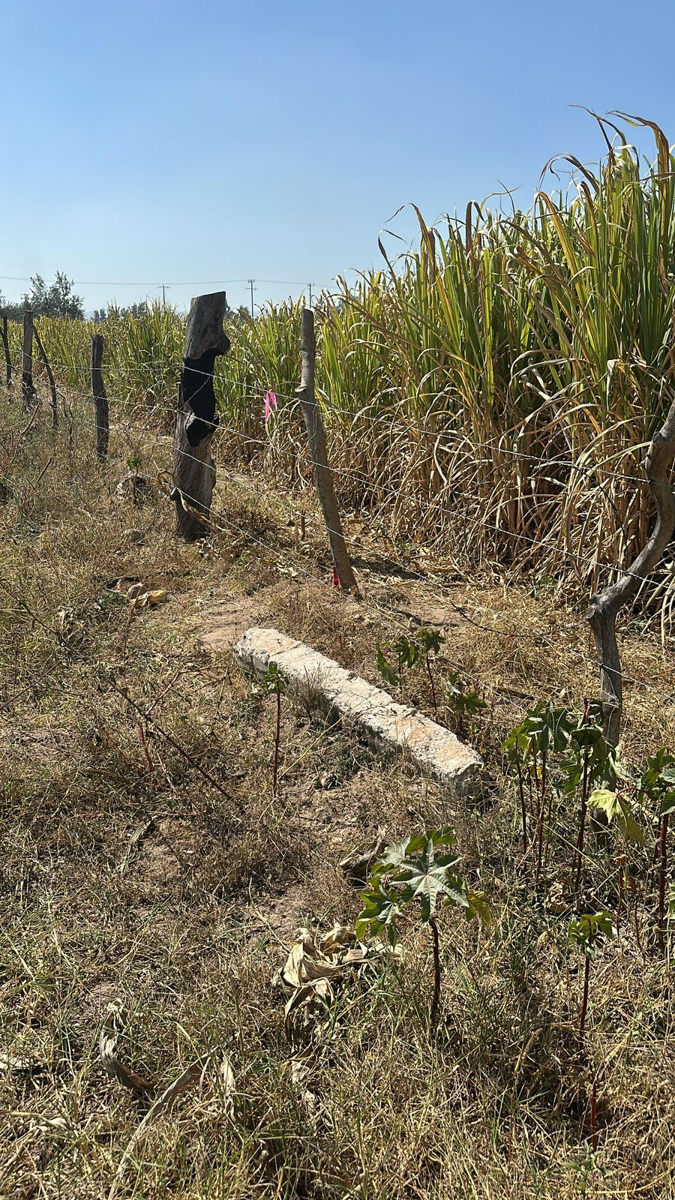 Terreno en venta en La Villita, Tala — foto 1 de 5