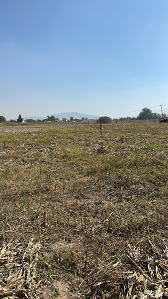 Terreno en venta en La Villita, Tala — foto 3 de 5