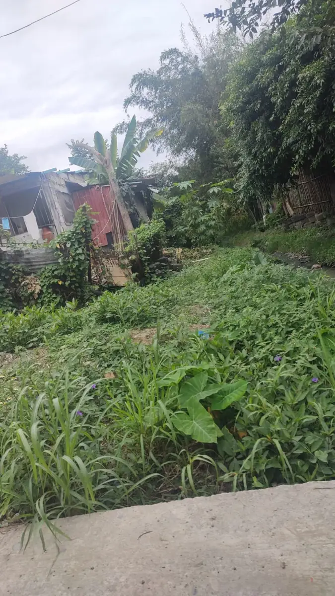 Terreno en venta en Coatzintla Centro, Coatzintla — foto 1 de 5