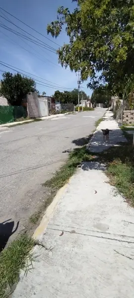 Casa en venta en Los Arcos, Ajacuba — foto 3 de 20