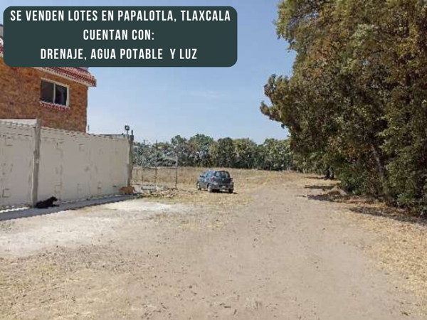 Terreno en venta en Los Reyes, Papalotla de Xicohténcatl — foto 2 de 10
