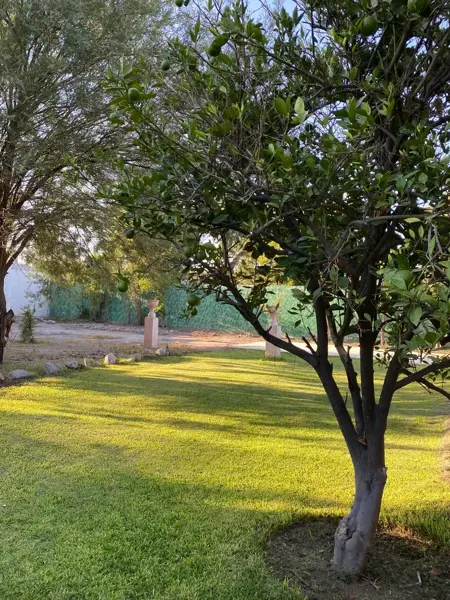 Casa en venta en Lerdo Centro, Lerdo — foto 2 de 10