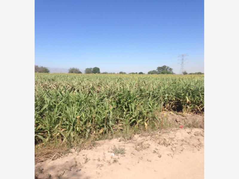 Terreno en Venta en Alvaro Obregon, Lerdo, Durango
