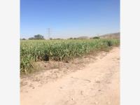 Terreno en venta en Alvaro Obregon, Lerdo — foto 2 de 2