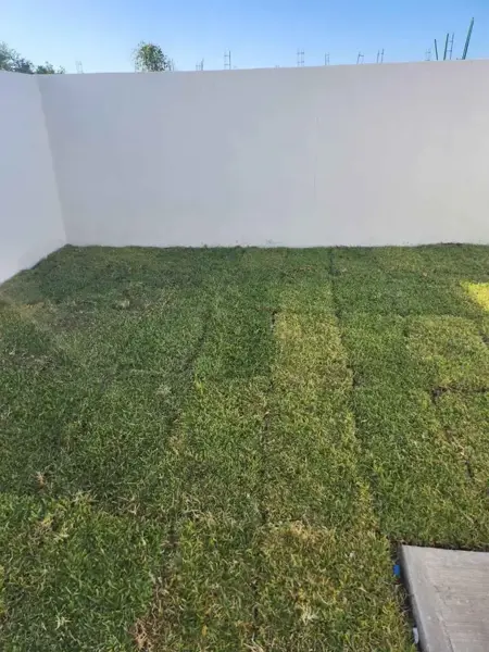 Casa en venta en Colima Centro, Colima — foto 3 de 10