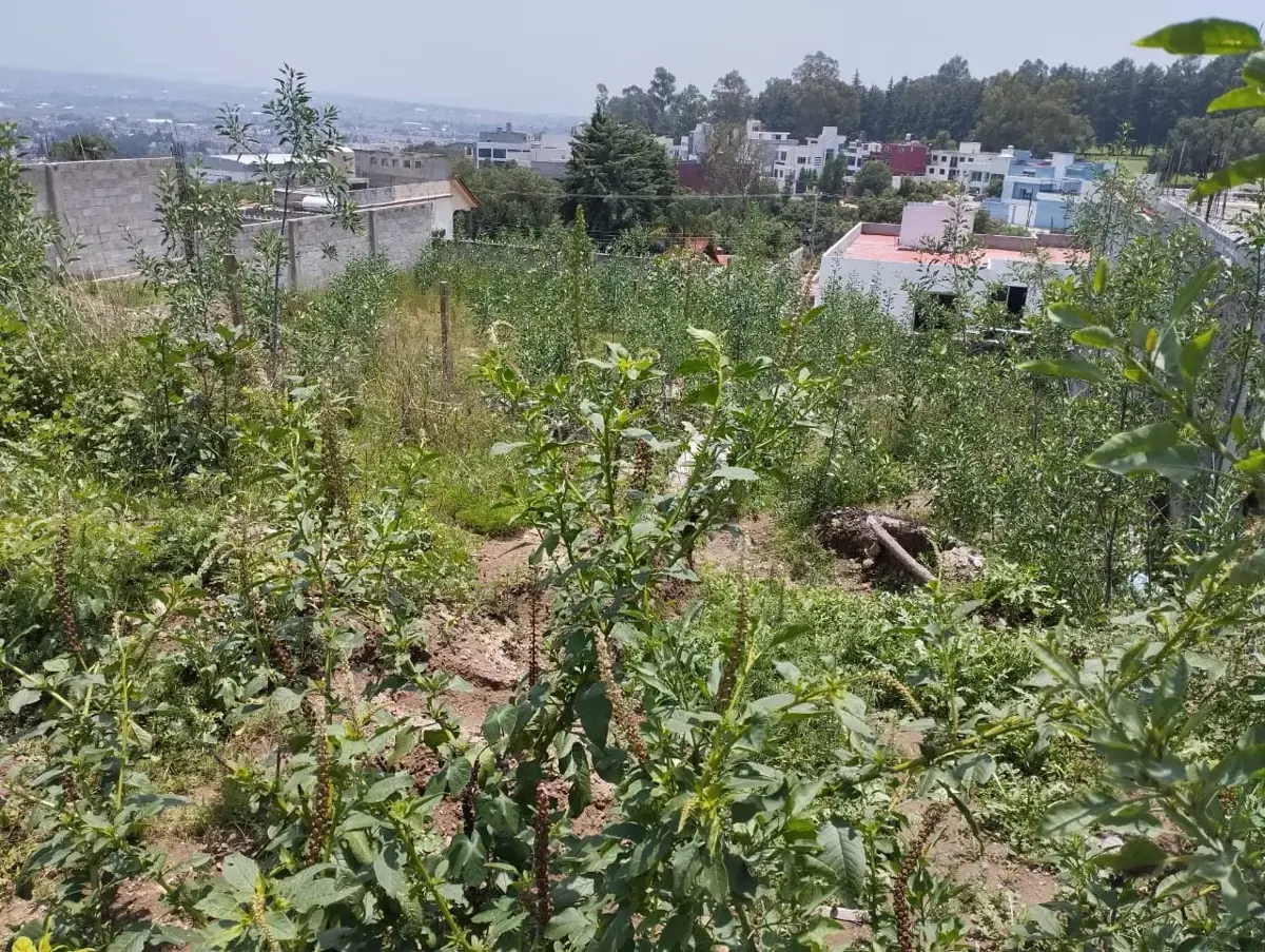 Terreno en venta en Acozac, Ixtapaluca — foto 1 de 9