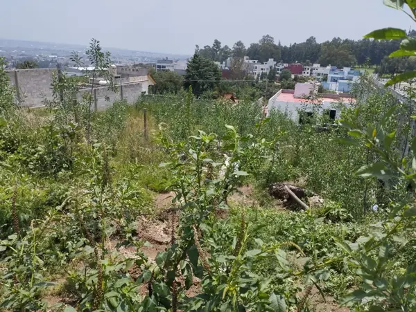Terreno en venta en Acozac, Ixtapaluca — foto 3 de 9