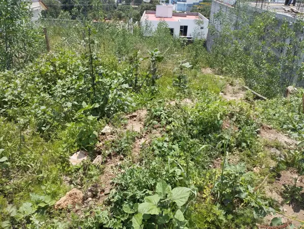 Terreno en venta en Acozac, Ixtapaluca — foto 2 de 9