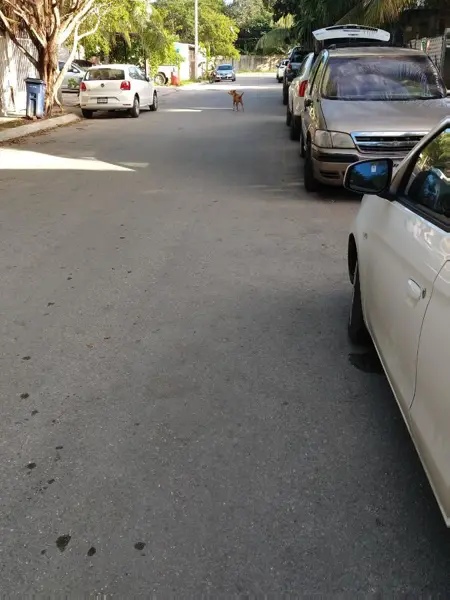 Casa en venta en La Guadalupana, Solidaridad — foto 3 de 9