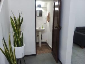 Oficina en renta en Torreon Centro, Torreón — foto 3 de 15