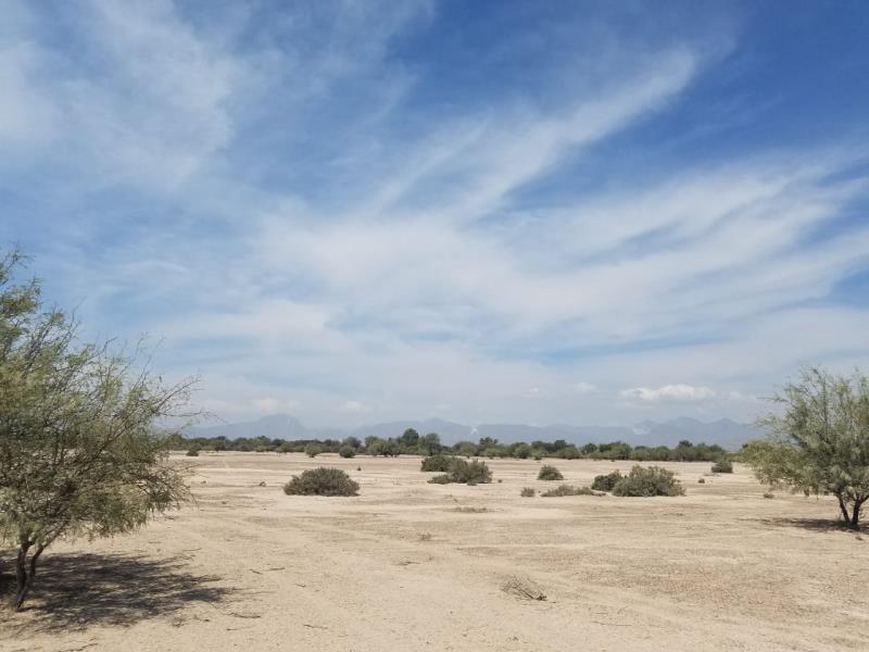 Terreno en Venta en Buendía, Gómez Palacio, Durango