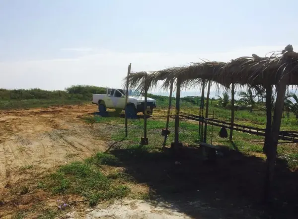 Terreno en venta en Joluta, La Unión de Isidoro Montes de Oca — foto 3 de 5
