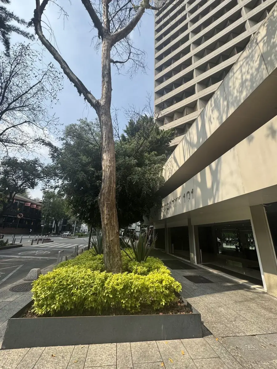 Oficina en renta en Polanco V Sección, Miguel Hidalgo — foto 1 de 21