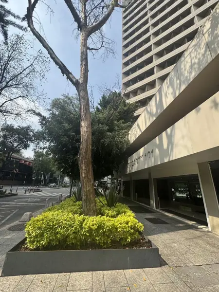 Oficina en renta en Polanco V Sección, Miguel Hidalgo, Ciudad de México Oficina en renta en Polanco V Sección, Miguel Hidalgo, Ciudad de México