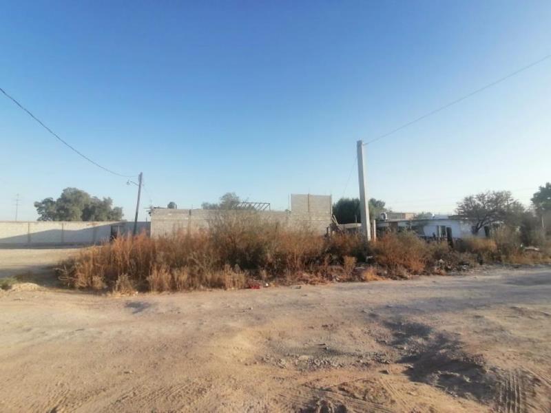 Terreno en Venta en Ejido Nuevo Castillo, Gómez Palacio, Durango