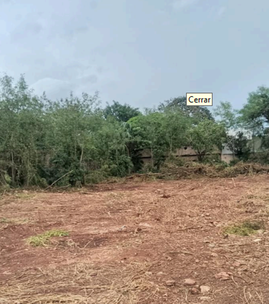 Terreno en venta en Chuburna de Hidalgo, Mérida — foto 2 de 3