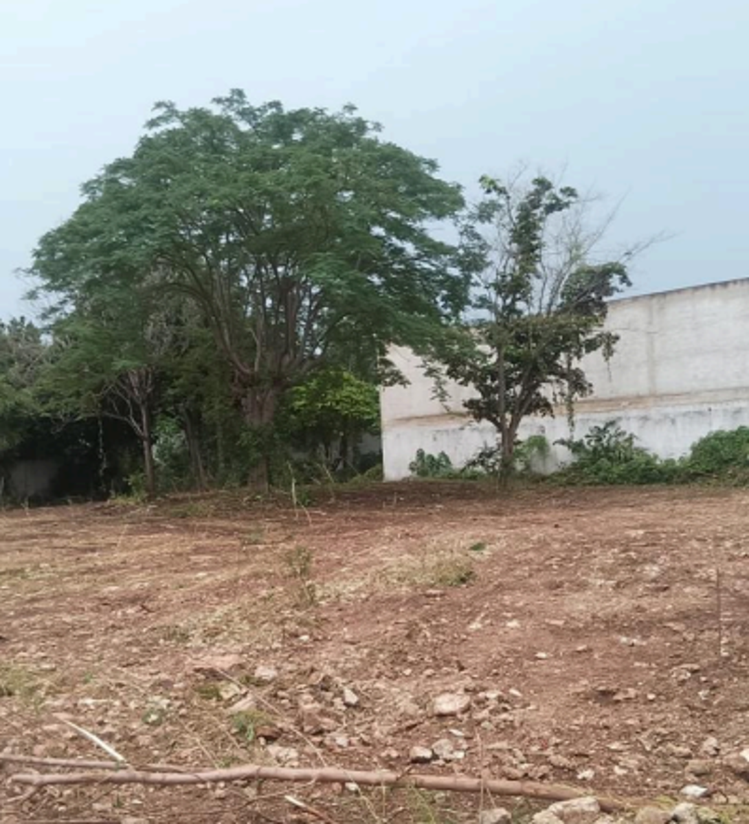Terreno en venta en Chuburna de Hidalgo, Mérida — foto 1 de 3