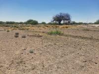 Finca-Rancho en venta en San Antonio de Gurza, San Pedro — foto 3 de 5