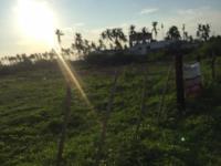 Terreno en venta en Teacapan, Escuinapa — foto 3 de 12