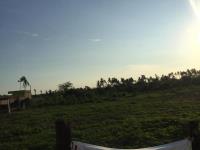 Terreno en venta en Teacapan, Escuinapa — foto 2 de 12