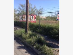 Terreno en renta en Villa California, Torreón — foto 3 de 3
