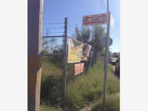 Terreno en renta en Villa California, Torreón — foto 2 de 3