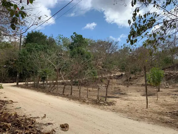 Terreno en venta en El Colorado, San Pedro Pochutla — foto 2 de 5