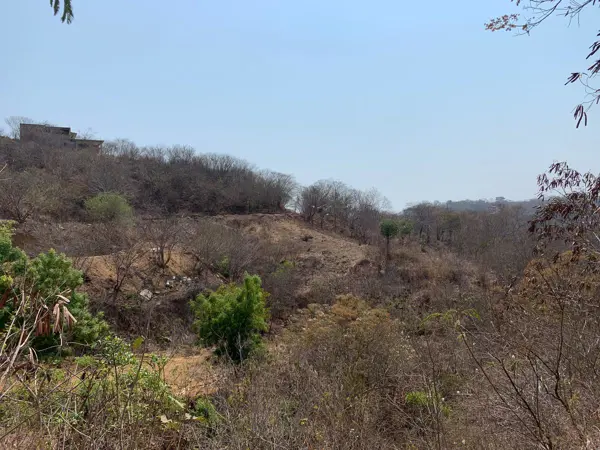 Terreno en venta en San Martín, San Pedro Pochutla — foto 2 de 8