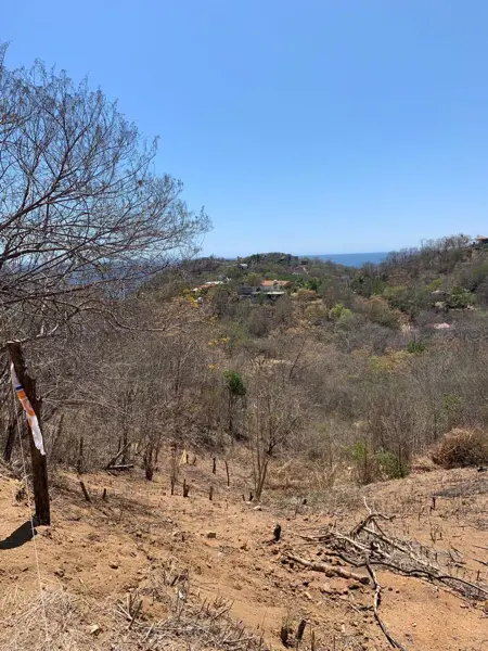 Terreno en venta en San Martín, San Pedro Pochutla — foto 3 de 8
