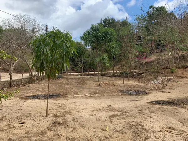 Terreno en venta en El Vigía, San Pedro Pochutla — foto 2 de 8