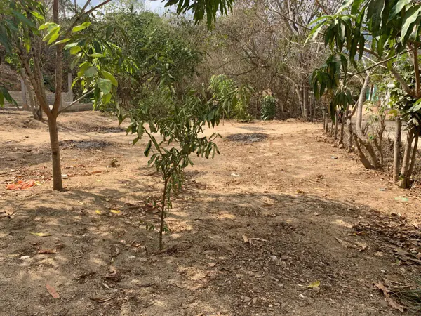 Terreno en venta en El Vigía, San Pedro Pochutla — foto 3 de 8