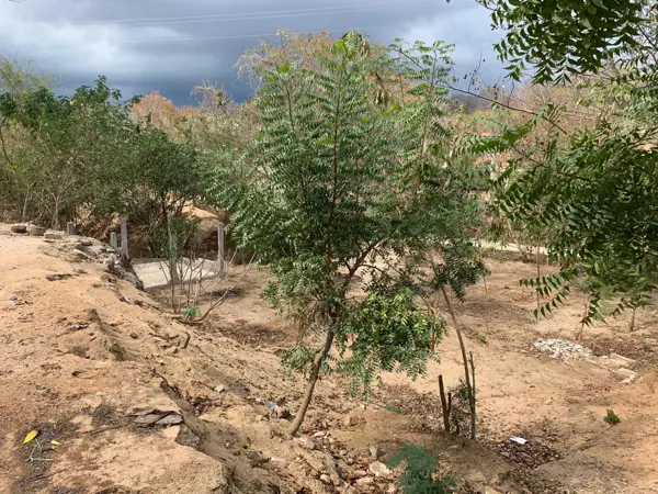 Terreno en venta en El Vigía, San Pedro Pochutla — foto 2 de 5