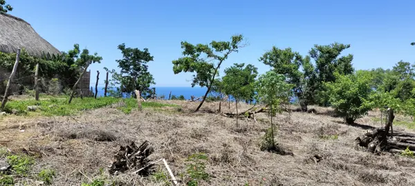 Terreno en venta en Mazunte, Santa María Tonameca — foto 3 de 7