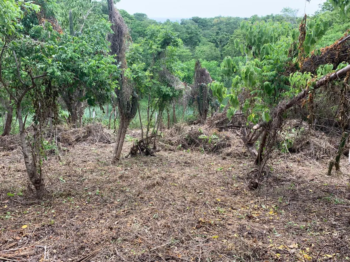 Terreno en venta en Mazunte, Santa María Tonameca — foto 1 de 8