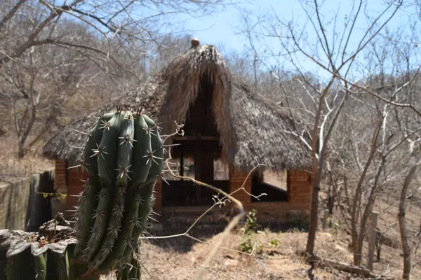 Terreno en venta en Mazunte, Santa María Tonameca — foto 2 de 8