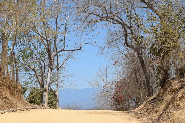 Terreno en venta en Mazunte, Santa María Tonameca — foto 3 de 8
