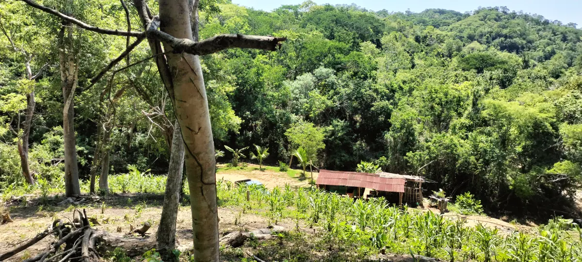 Terreno en venta en Mazunte, Santa María Tonameca — foto 1 de 2