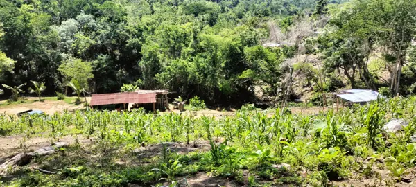 Terreno en venta en Mazunte, Santa María Tonameca — foto 2 de 2