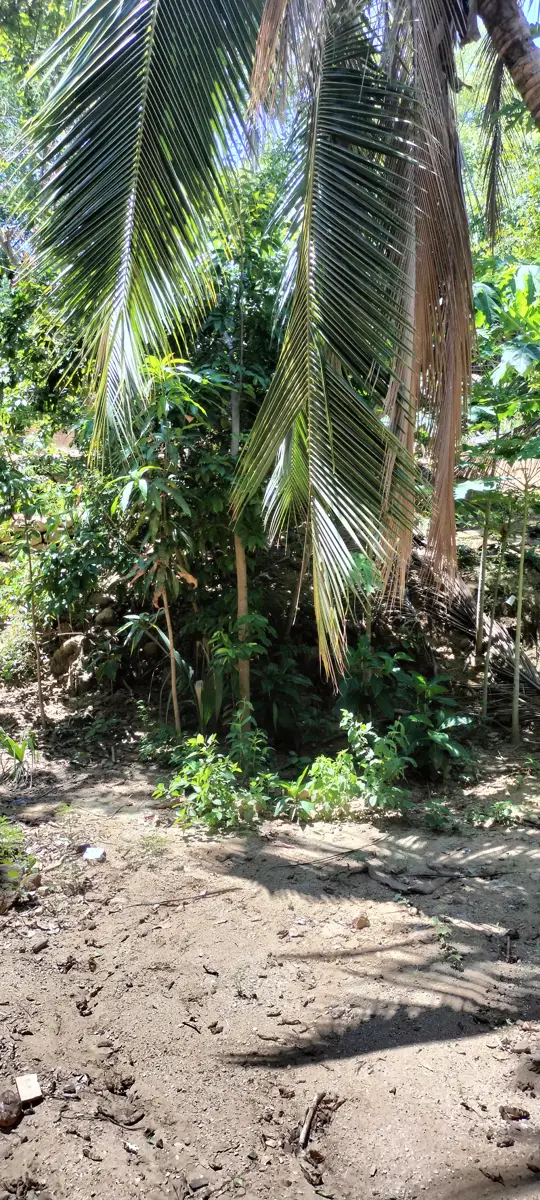 Terreno en venta en Mazunte, Santa María Tonameca