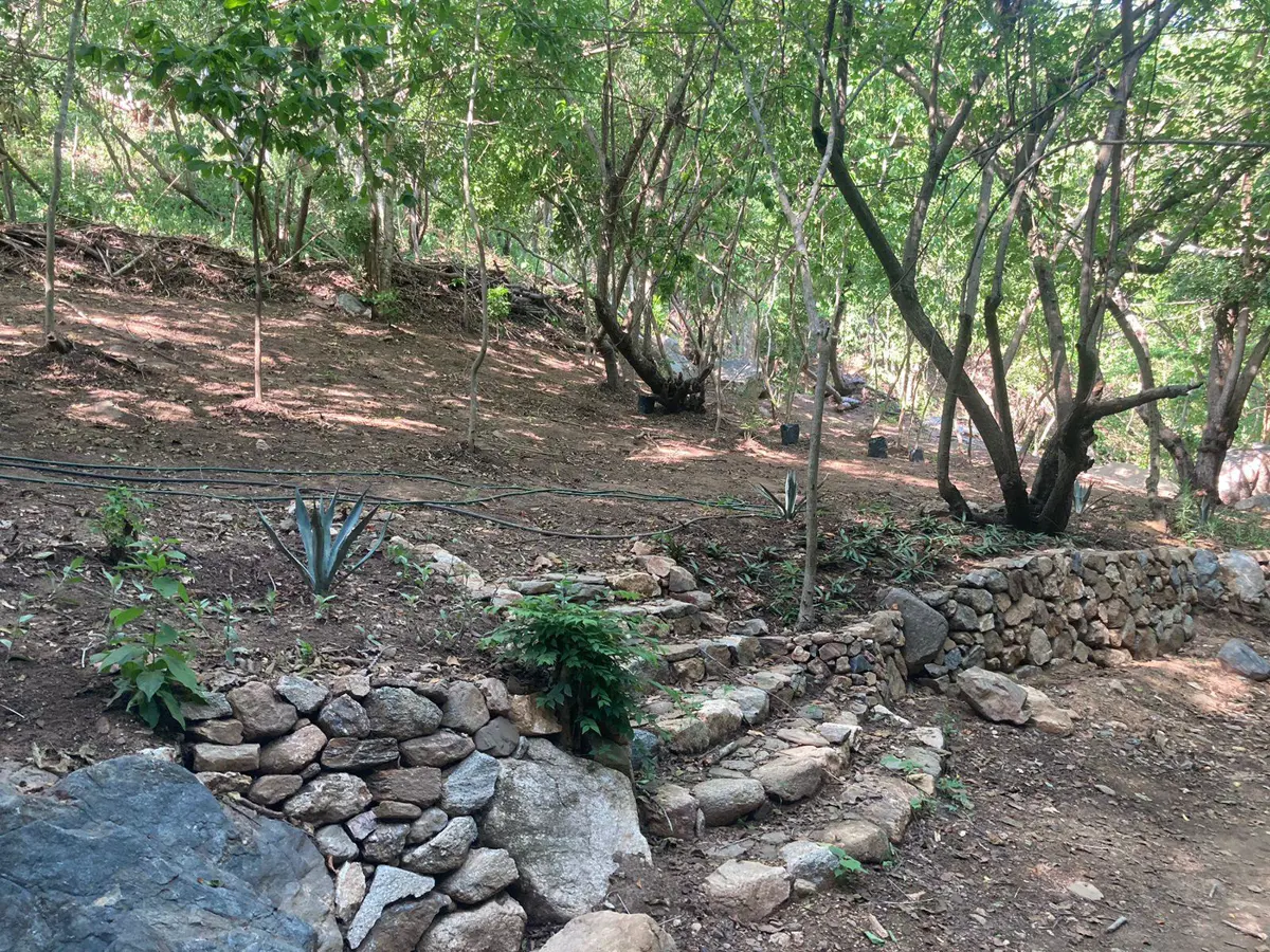 Terreno en venta en Mazunte, Santa María Tonameca — foto 1 de 15