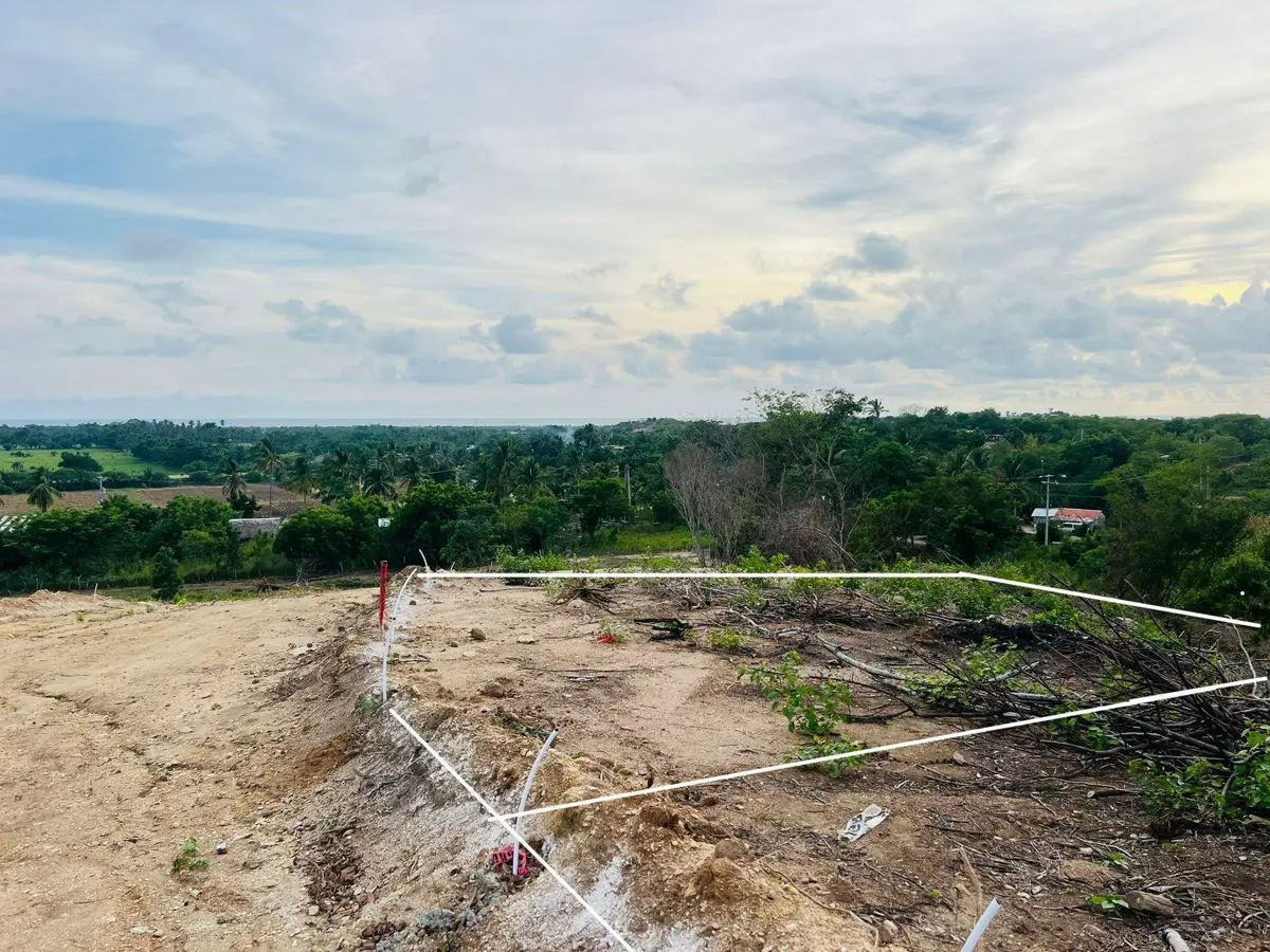 Terreno en venta en Escobilla, Santa María Tonameca — foto 1 de 10