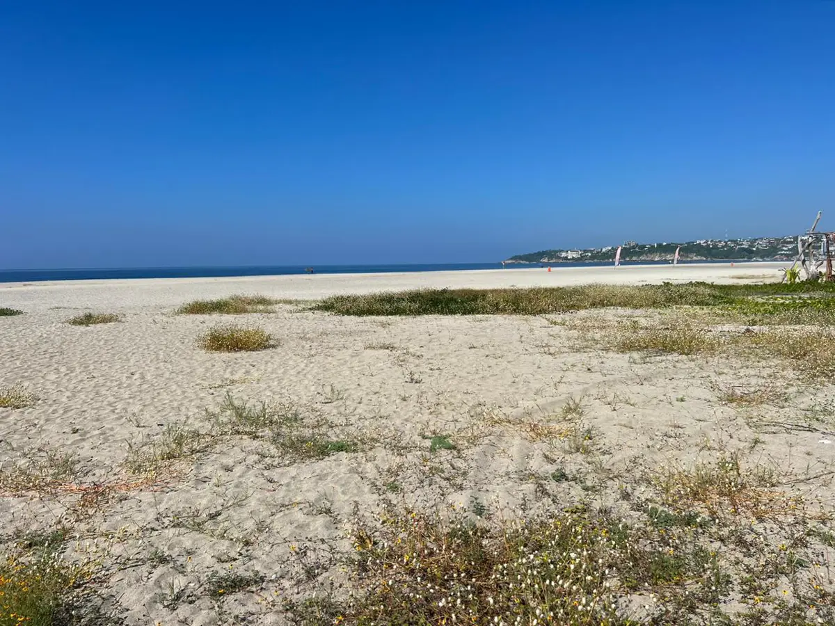 Terreno en venta en Brisas de Zicatela, Santa María Colotepec — foto 1 de 12
