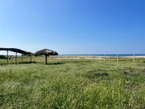 Terreno en venta en Brisas de Zicatela, Santa María Colotepec — foto 2 de 12