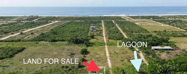 Terreno en venta en El Palmar, San Pedro Mixtepec -Dto. 22 - — foto 2 de 3