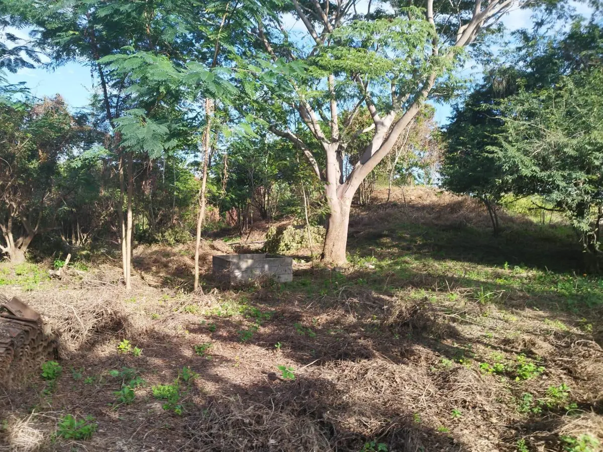 Terreno en venta en Techal Blanco, Santa María Huatulco — foto 1 de 8