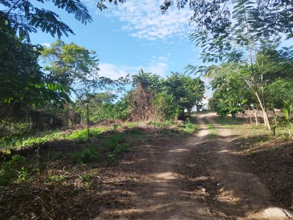 Terreno en venta en Techal Blanco, Santa María Huatulco — foto 2 de 8