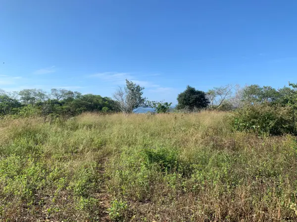 Terreno en venta en La Mina, San Pedro Pochutla — foto 3 de 8